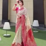 Banarasi Soft Silk-5533