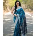 Banarasi Soft Silk_40113